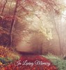 In Loving Memory Funeral Guest Book, Memorial Guest Book, Condolence Book, Remembrance Book for Funerals or Wake, Memorial Service Guest Book - Angelis Publications - 9780995694972