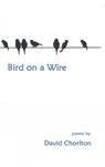 Bird on a Wire - David Chorlton - 9780996502658