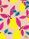 Citron: A Blank Journal: (Cute Journal, Diary Notebook) -  - 9780997066456