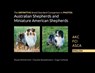 The DEFINITIVE Breed Standard Comparison in PHOTOS for Australian Shepherds and Miniature American Shepherds - Paula Jean McDermid - 9780997553475