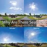 Why Are There Seasons? - Misty Carty - 9780998782409
