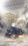 Small Wonder - Matthew Brady - 9781005015435