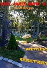 The Prettiest Cemet'ries - Kent James Migwi - 9781005315849