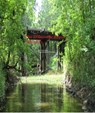 The Benoit Murder Mysteries: The D'lberville Bayou Murders - Tim Conley - 9781005514457