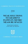 Weak Solutions to Gradient Flows in Metric Measure Spaces - Wojciech (Uniwersytet Warszawski Gorny ; Jose M. (Universitat de Valencia Mazon - 9781009741125