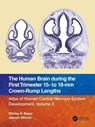 The Human Brain during the First Trimester 15- to 18-mm Crown-Rump Lengths - Shirley A. Bayer ; Joseph Altman - 9781032219288