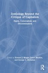 Zemiology Beyond the Critique of Capitalism - Edward J. Wright ; James Heydon ; George C. Dertadian - 9781032992723