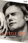 A Little Life - Hanya Yanagihara - 9781035035038