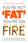 You're Not 'Fat', You're On Fire - Stephen Perrine - 9781035040186