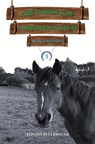 The Horses of Saddlers Ranch: Black Knight - Alison Bellringer - 9781035869947
