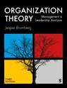 Organization Theory - Jesper Blomberg - 9781036208189