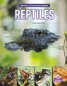 Reptiles - Tracy Vonder Brink - 9781039800274