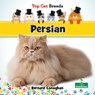 Persian - Bernard Conaghan - 9781039838437