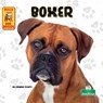 Boxer - Corinne Fickett - 9781039844674