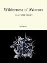 Wilderness of Mirrors - Olufemi Terry - 9781068433856