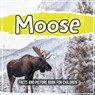 Moose - KIDS,  Bold - 9781071710739