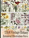 1914 Vintage Botany Botanical Illustration Sizes - C. Anders - 9781086224139