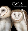 OWLS - Jeannine Chappell - 9781087501444
