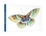 Butterfly Small Boxed Cards -  - 9781087503813