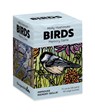 Molly Hashimoto: Birds Memory Game -  - 9781087511931