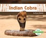 Indian Cobra - Grace Hansen - 9781098205959