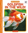 Goldfish in the Wild! - Grace Hansen - 9781098246129
