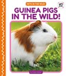 Guinea Pigs in the Wild! - Grace Hansen - 9781098246136