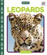 Leopards - Elizabeth Andrews - 9781098246914