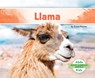 Llama - Grace Hansen - 9781098261825