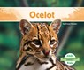 Ocelot - Grace Hansen - 9781098261832