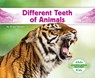 Different Teeth of Animals - Grace Hansen - 9781098266295