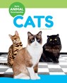 Cats - Kathy MacMillan - 9781098290399