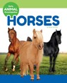 Horses - Marne Ventura - 9781098290436