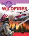 Wildfires - Samantha S. Bell - 9781098296070