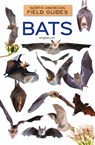 Bats - Angela Lim - 9781098298944
