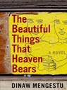 The Beautiful Things That Heaven Bears - Dinaw Mengestu - 9781101217566