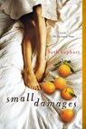 Small Damages - Beth Kephart - 9781101572184