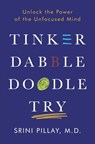 Tinker Dabble Doodle Try - Srini Pillay M.D. - 9781101883662