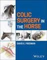 Colic Surgery in the Horse - David E. Freeman - 9781118479100