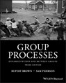 Group Processes - Rupert Brown ; Samuel Pehrson - 9781118719299