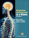 Neuroanatomy and Neuroscience at a Glance - Roger A. Barker ; Francesca Cicchetti ; Emma S. J. Robinson - 9781119168423