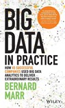 Big Data in Practice - Bernard (Advanced Performance Institute Marr - 9781119231387