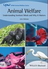 Animal Welfare - John Webster - 9781119857082