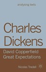 Charles Dickens: David Copperfield/ Great Expectations - Nicolas Tredell - 9781137283238