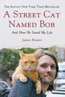 STREET CAT NAMED BOB - JAMES BOWEN - 9781250029461