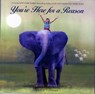 You're Here for a Reason - Nancy Tillman - 9781250056269