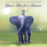 You're Here for a Reason - Nancy Tillman - 9781250106506