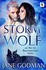 Storm Wolf - Jane Godman - 9781250119988