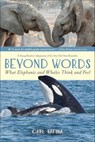 Beyond Words: What Elephants and Whales Think and Feel (A Young Reader's Adaptation) - Carl Safina - 9781250144645