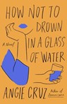 How Not to Drown in a Glass of Water - Angie Cruz - 9781250208446